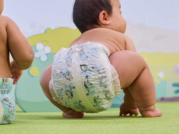 Thumbnail for Wetness Indicator*