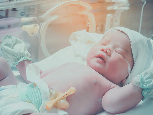 Thumbnail for Umbilical Cord Notch